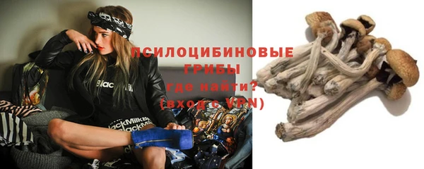 гашик Алексеевка