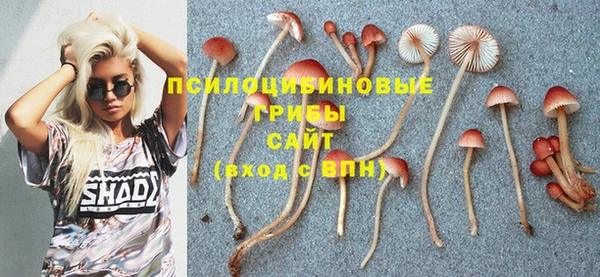 гашик Алексеевка